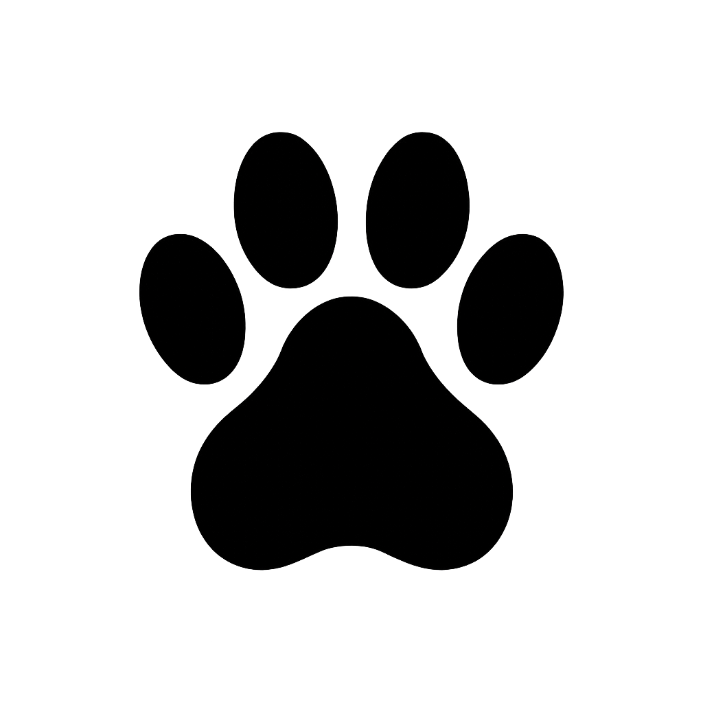 CÃES MAR E VENTO